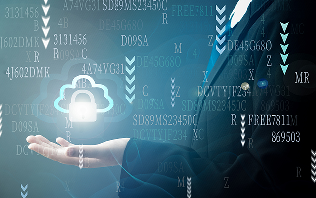 如何?；すた赝绨踩?？国产网络安全整机发挥核心作用